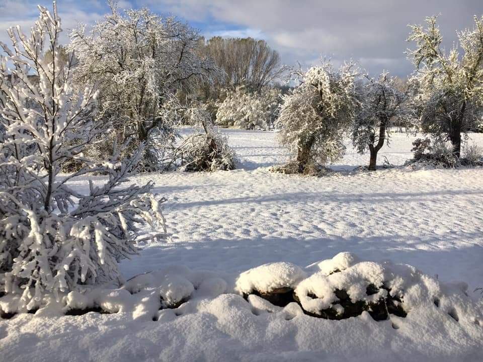 Fotos: Un paisaje de cuento