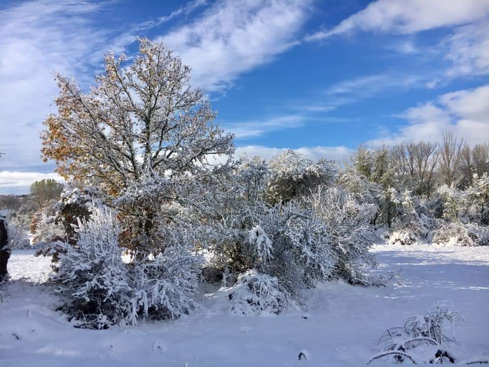 Fotos: Un paisaje de cuento