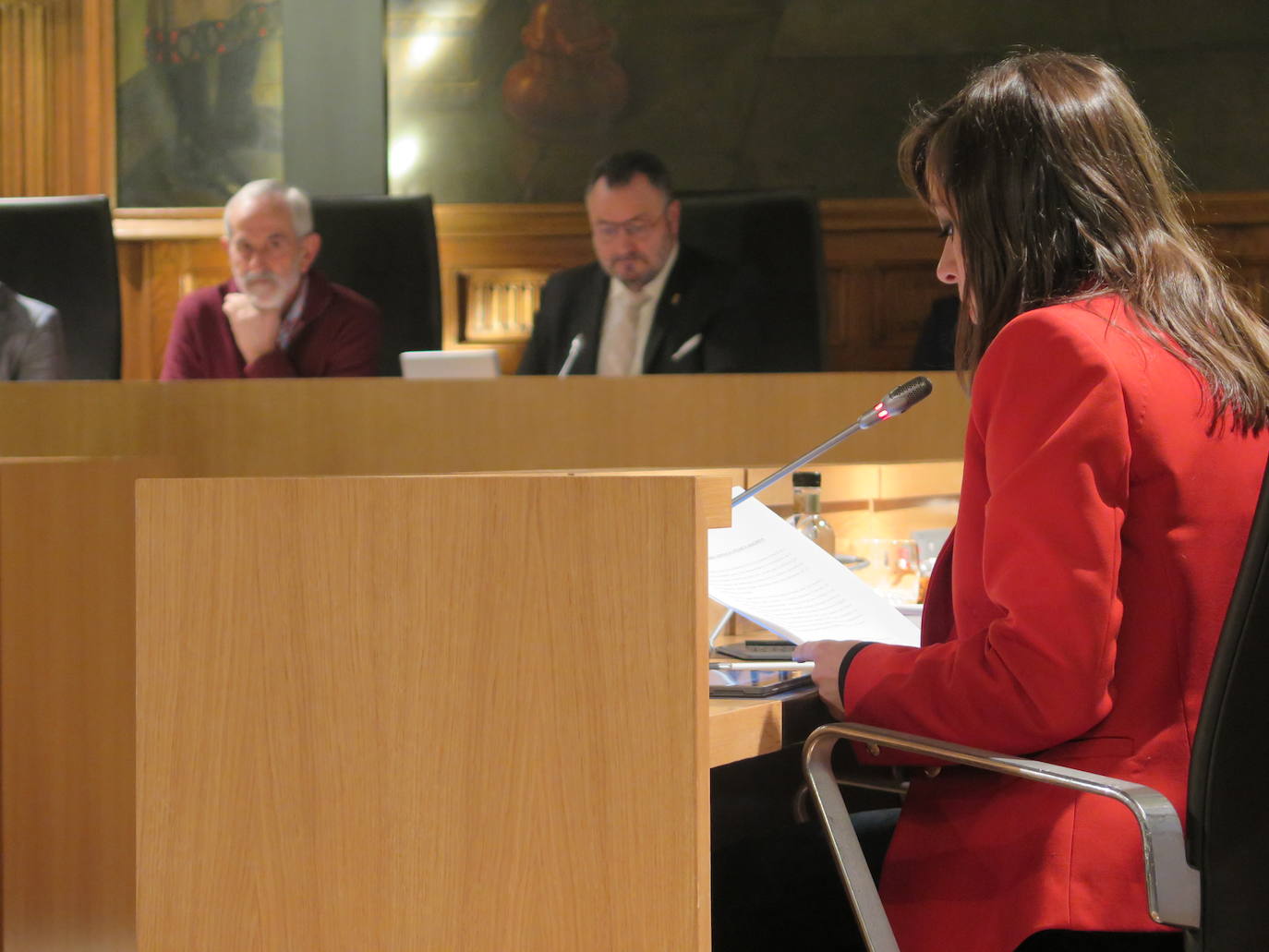 Fotos: Pleno de noviembre de la Diputación de León