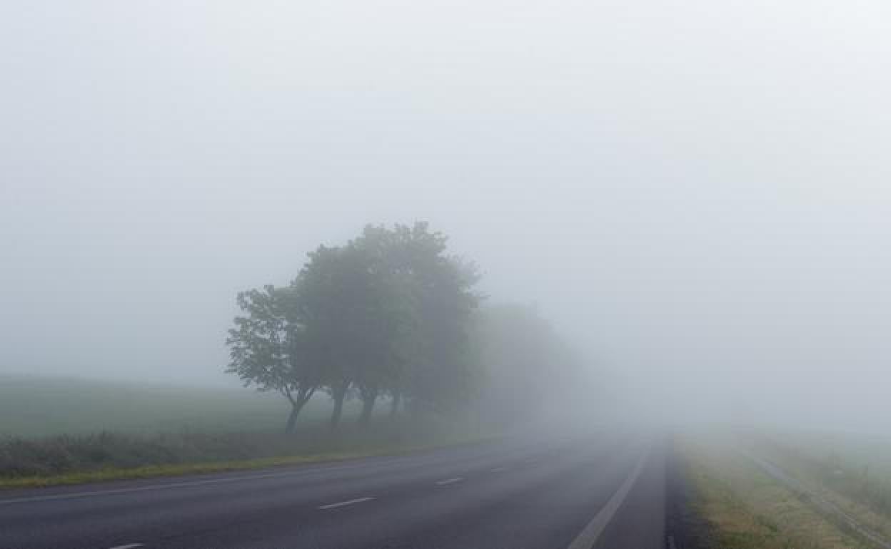 La niebla cubre una carretera. 