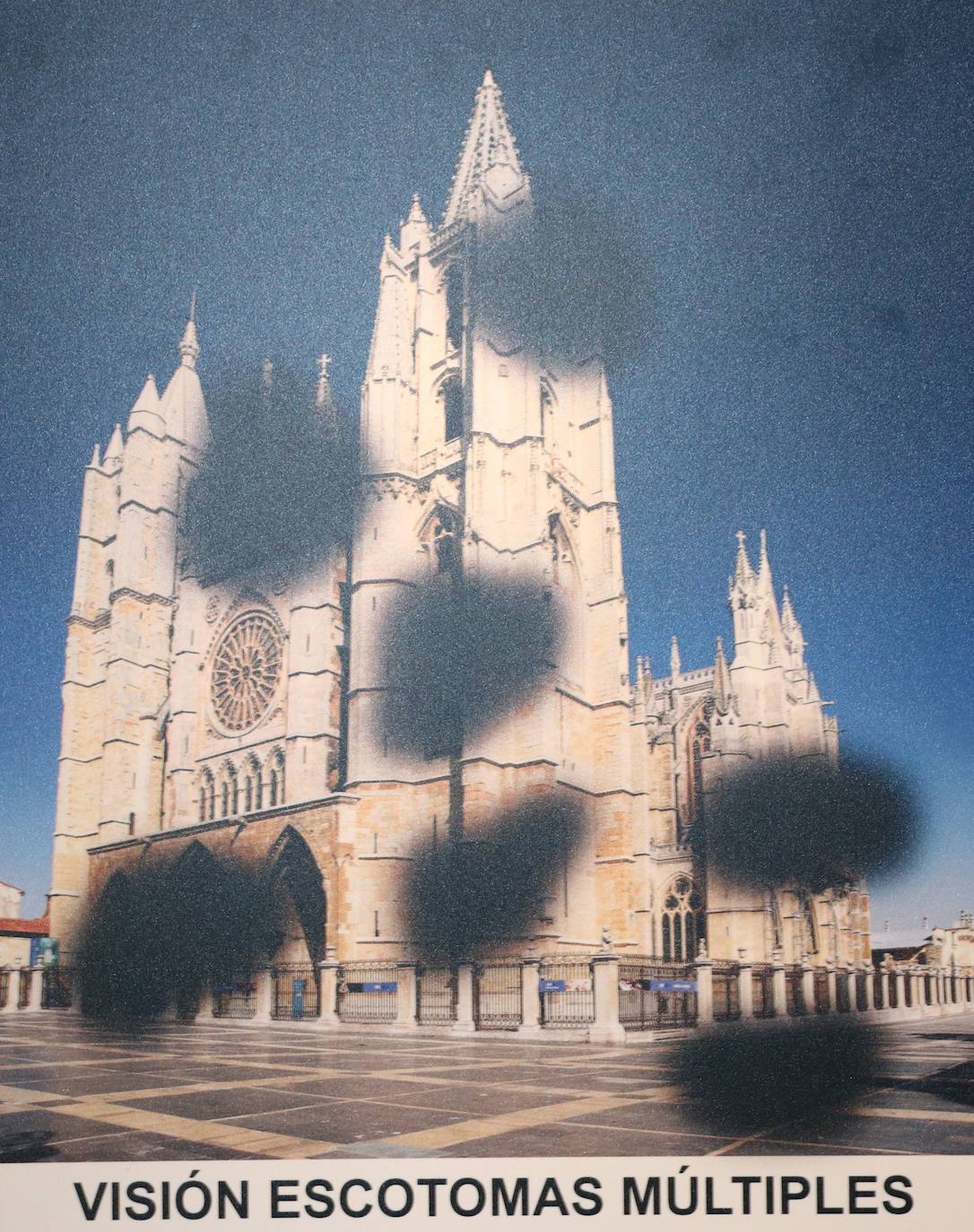 Fotos: ¿Cómo ven la Catedral de León las personas con discapacidad visual?