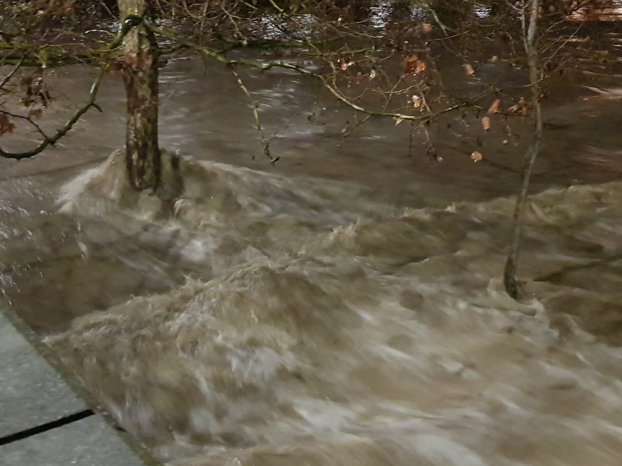 El caudal del Bernesga sobrepasa el cauce del río y obliga a cortar el Paseo de Salamanca en la capital