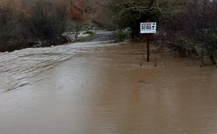 Alerta en los ríos leoneses