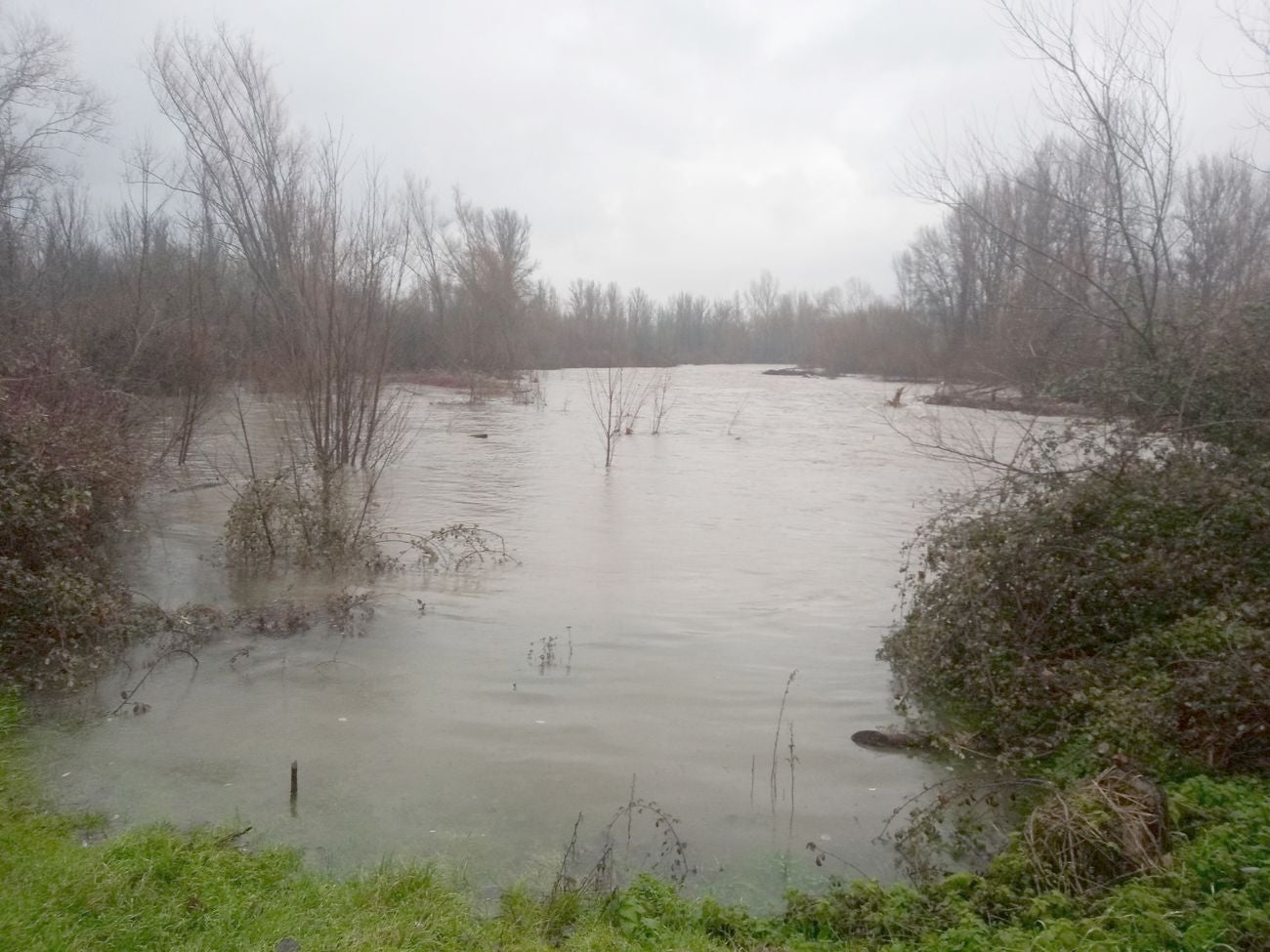 Localidades como Villaverde o Garrafe ven cómo las aguas del Torío inundan la zona tras la lluvia y el deshielo en las zonas de montaña