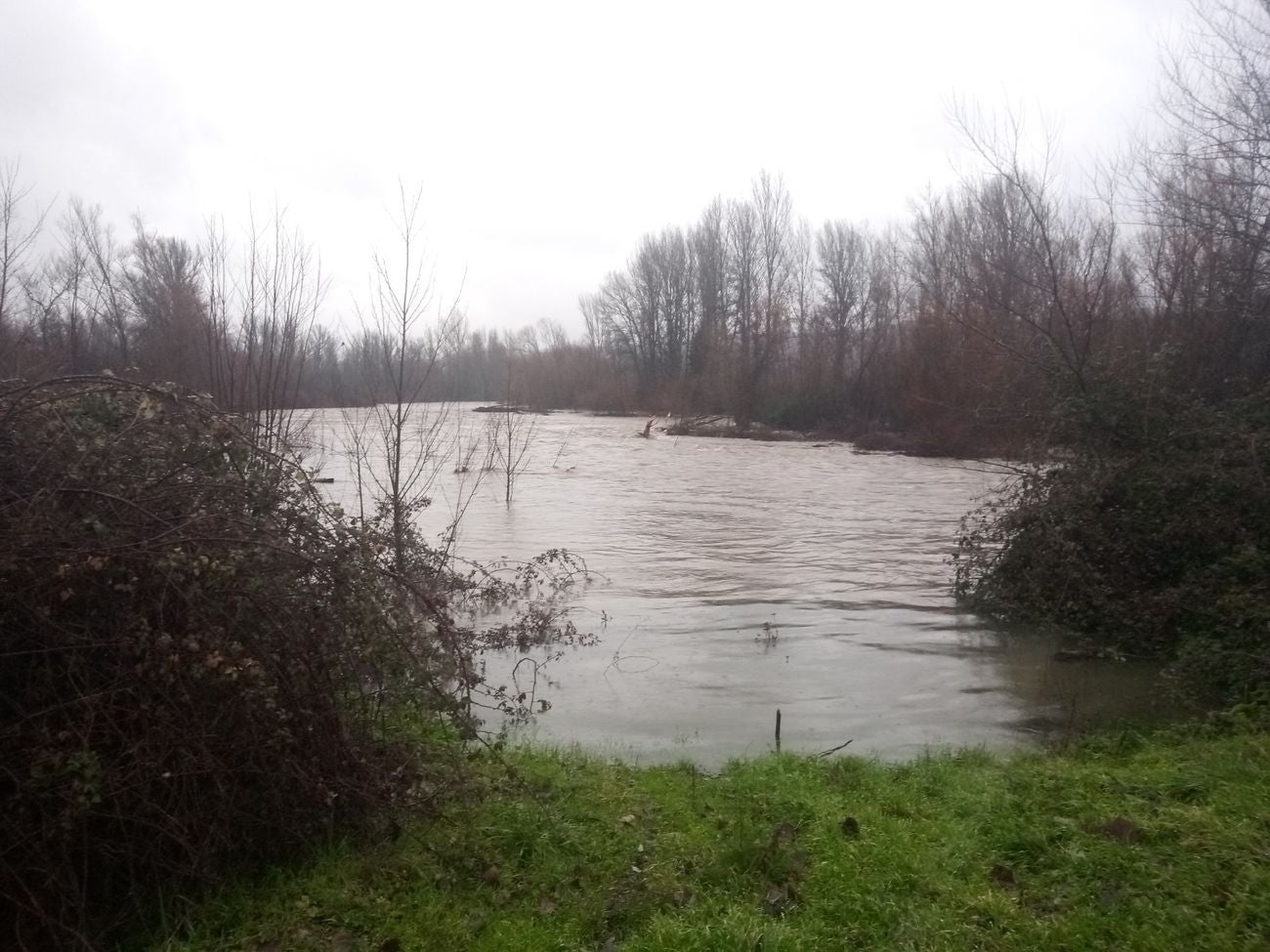 Localidades como Villaverde o Garrafe ven cómo las aguas del Torío inundan la zona tras la lluvia y el deshielo en las zonas de montaña