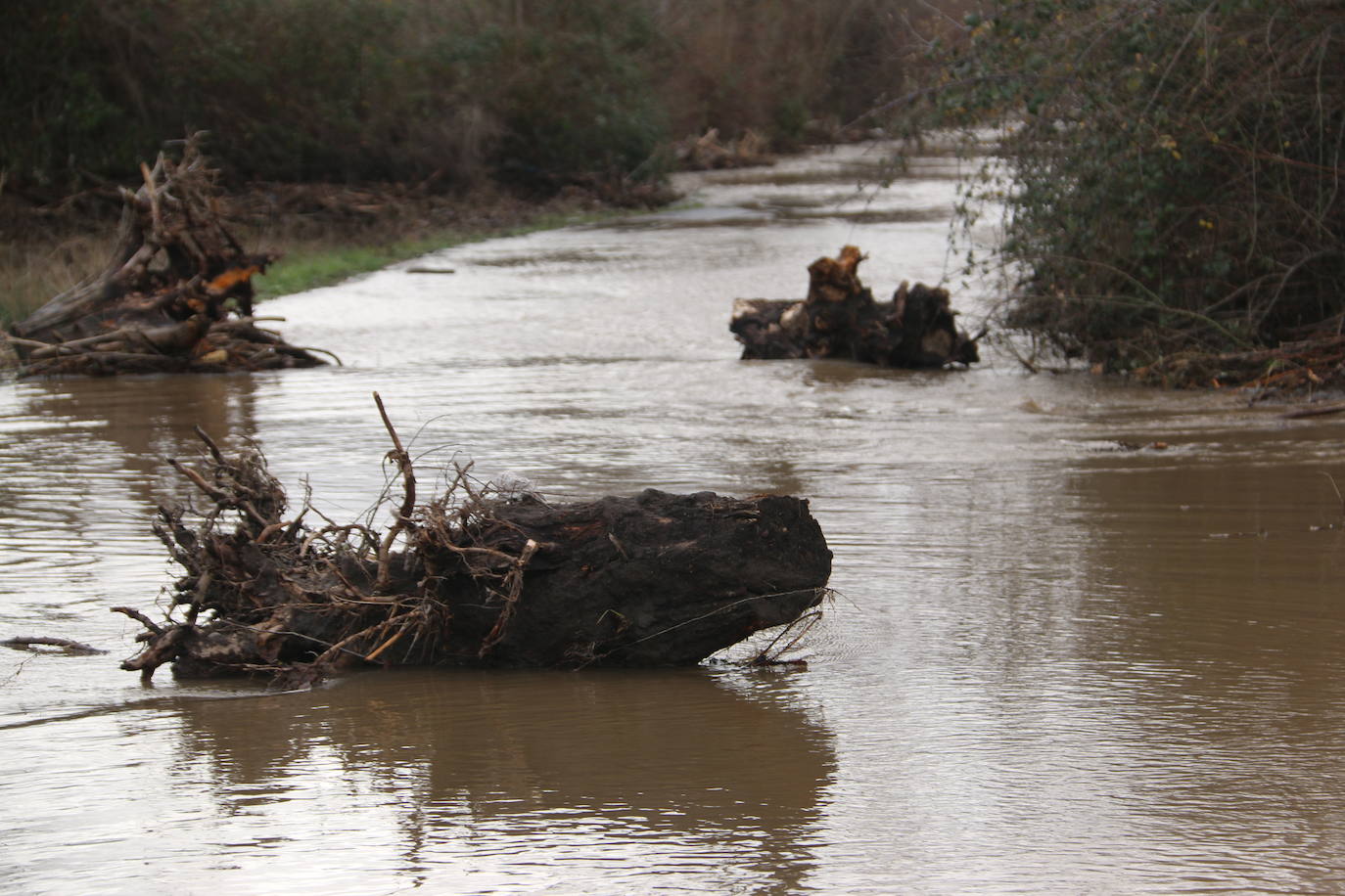 Fotos: Villaverde de Arriba, bajo el agua