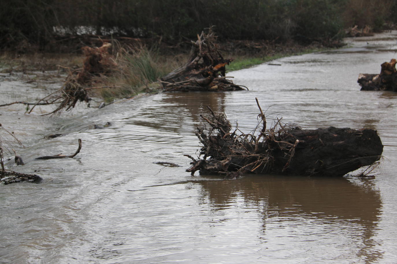 Fotos: Villaverde de Arriba, bajo el agua