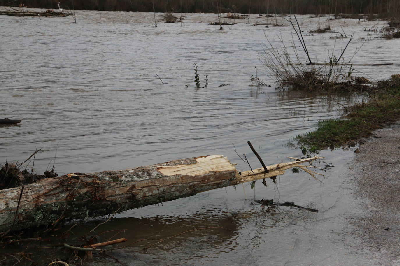 Fotos: Villaverde de Arriba, bajo el agua