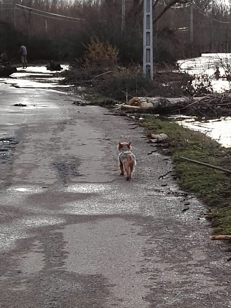 Imagen de lalocalidad de Ruiforco inundada por el agua.