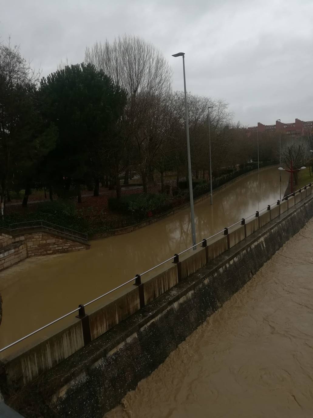 Fotos: El Bernesga se vuelve a &#039;comer&#039; su paseo en León