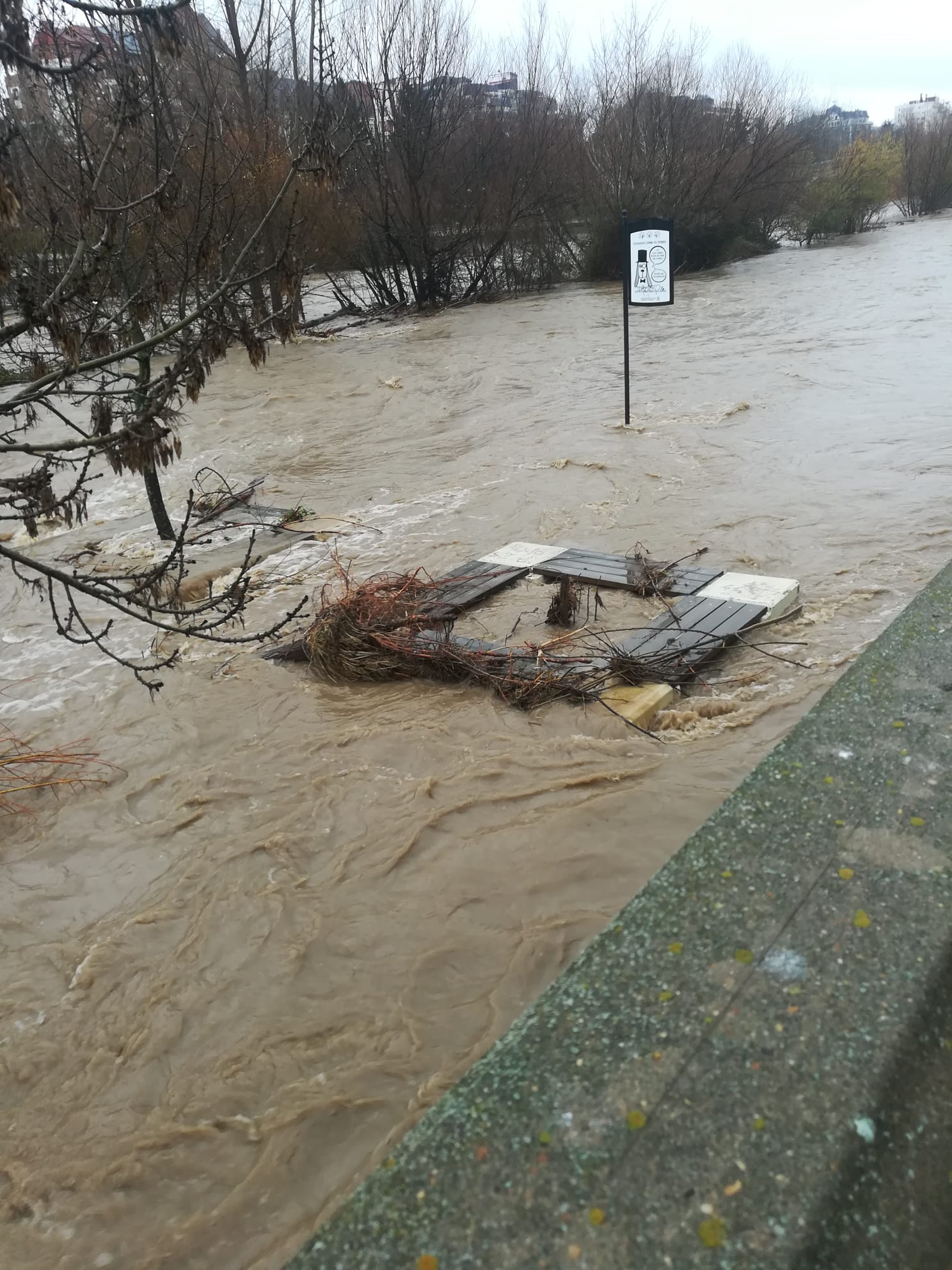 Fotos: El Bernesga se vuelve a &#039;comer&#039; su paseo en León