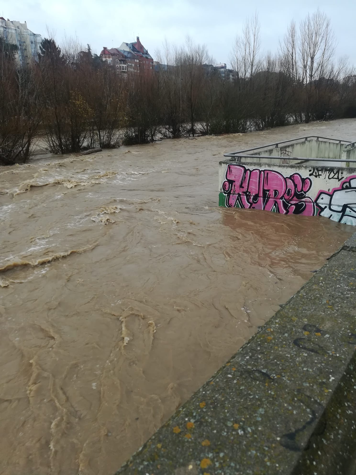 Fotos: El Bernesga se vuelve a &#039;comer&#039; su paseo en León