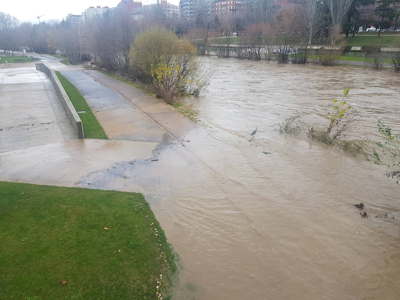 Fotos: El Bernesga vuelve a desbocarse