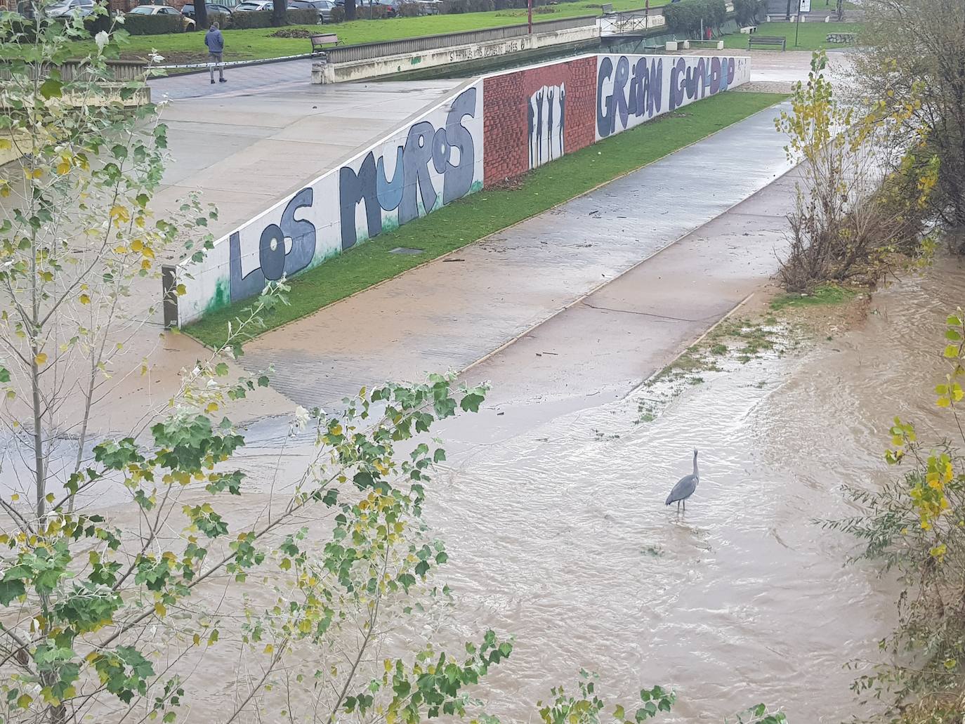 Fotos: El Bernesga vuelve a desbocarse