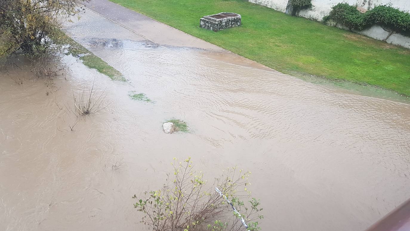 Fotos: El Bernesga vuelve a desbocarse