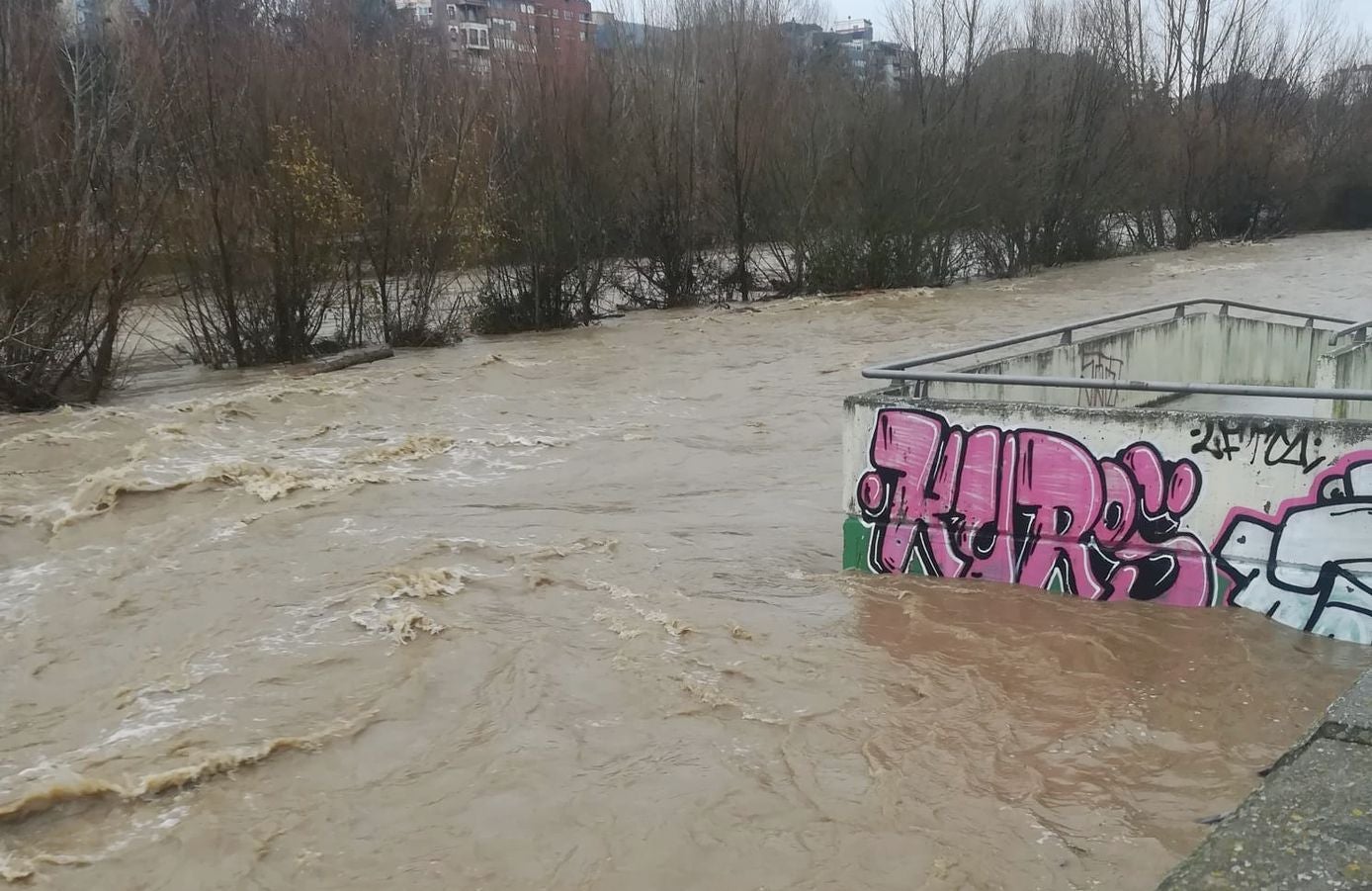 Fotos: El Bernesga se vuelve a &#039;comer&#039; su paseo en León