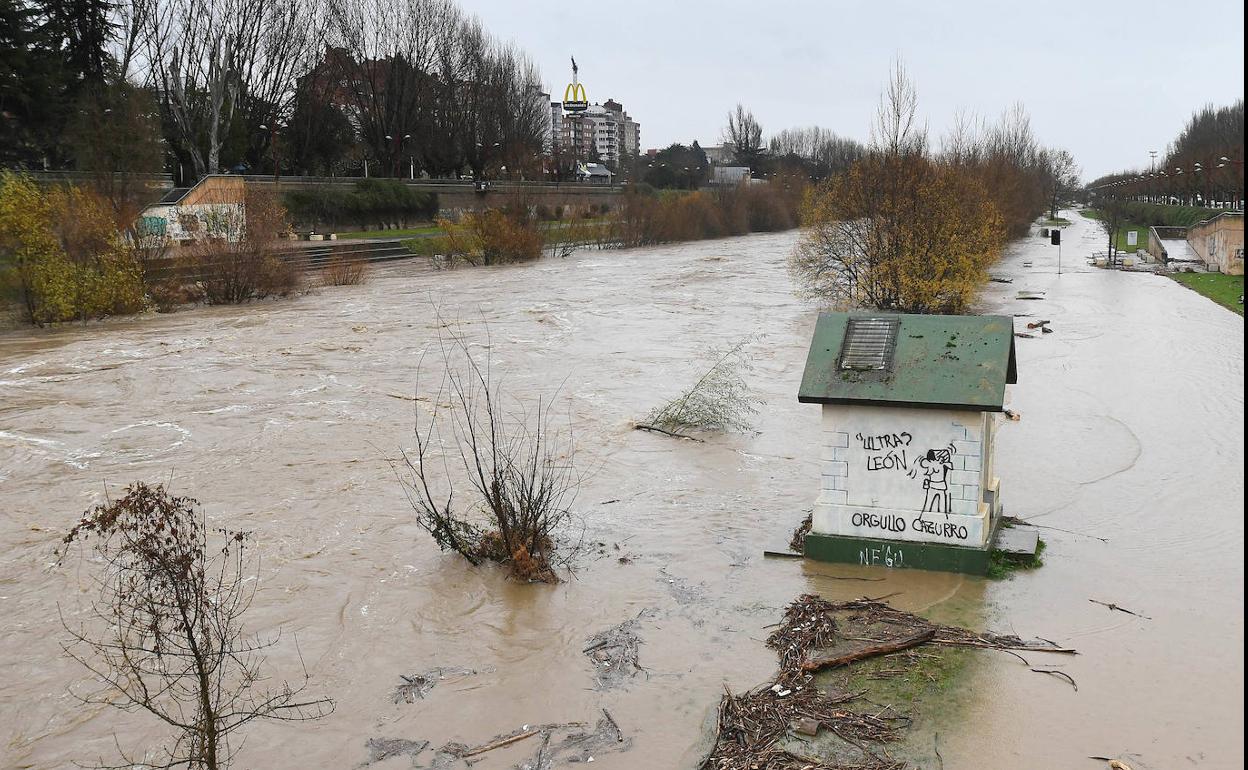 El río Bernesga, a su paso por León capital.