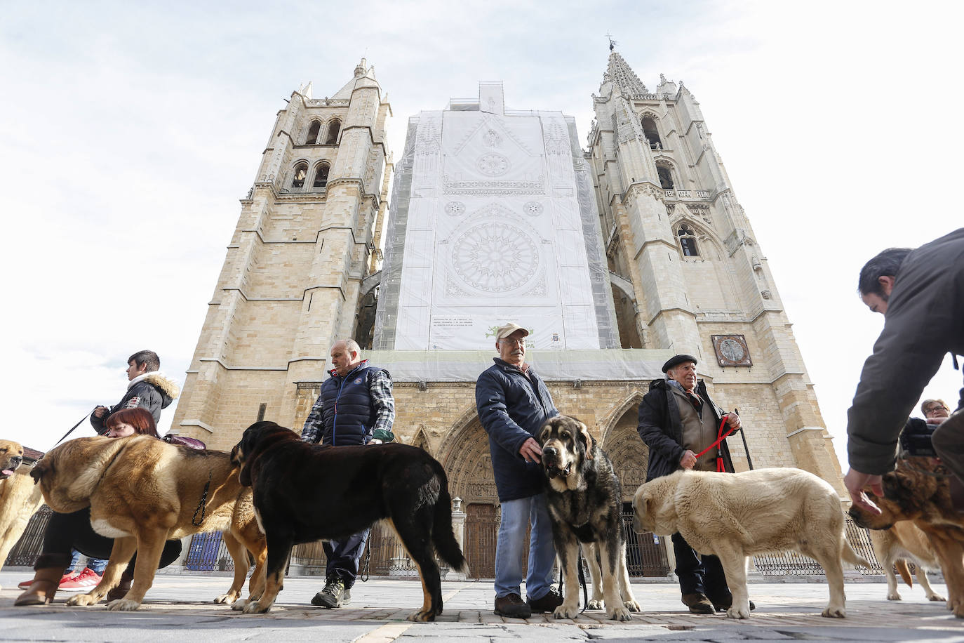 Fotos: El resumen de 2019 bajo la mirada de Carlos S. Campillo