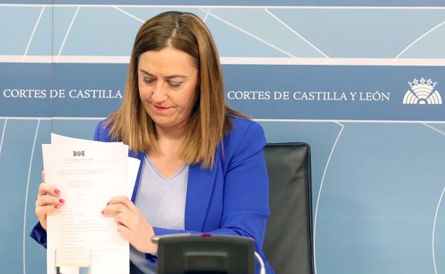 Barcones subraya que la moción a favor de la autonomía para la Región Leonesa «no es el camino» 