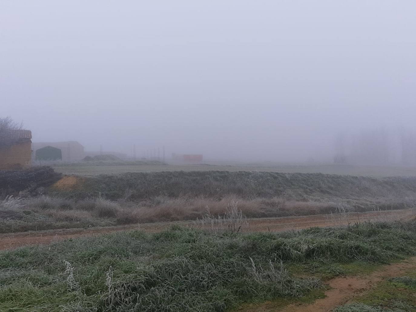 Fotos: La niebla &#039;ciega&#039; la provincia leonesa