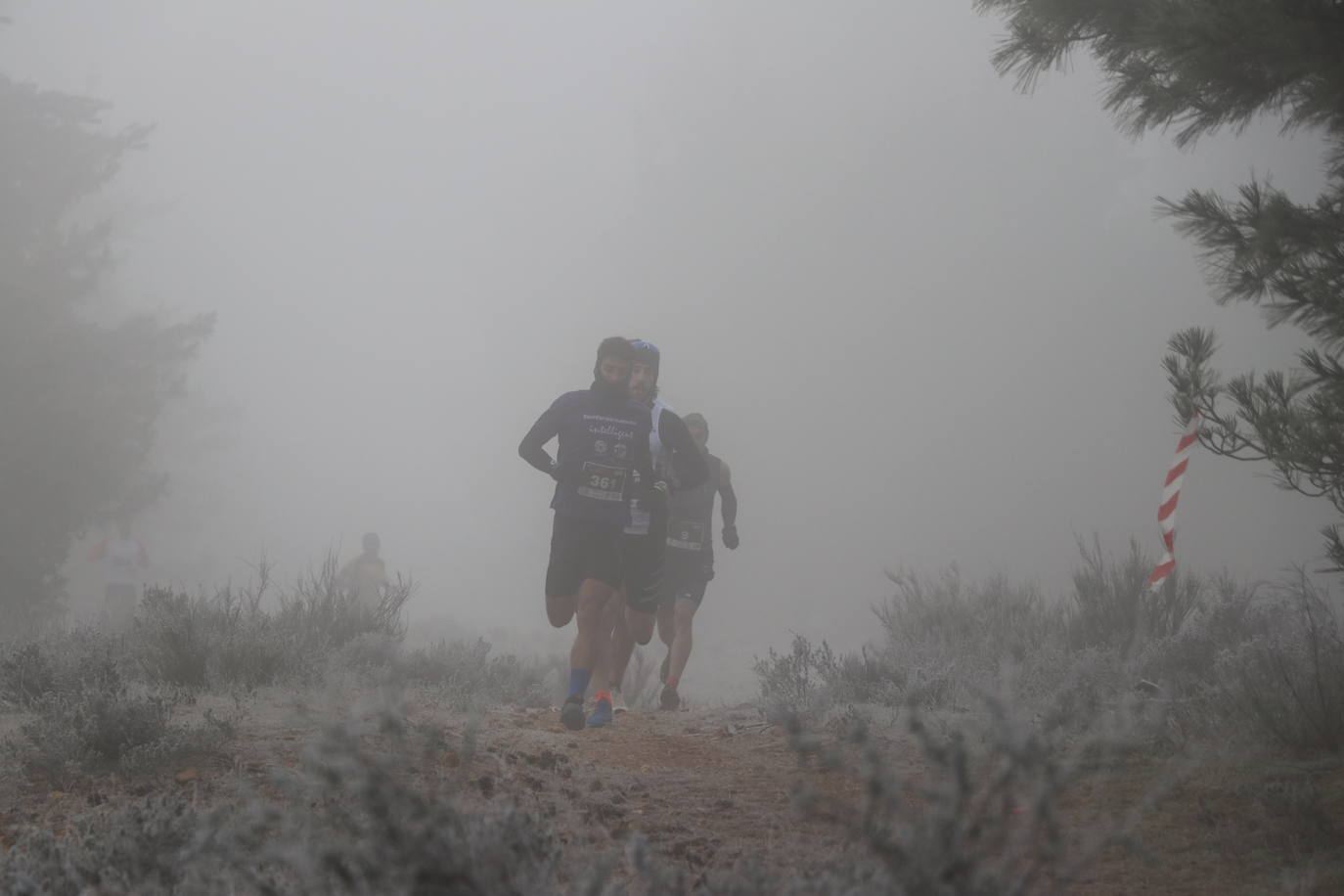 Fotos: Las imágenes de la Transcandamia