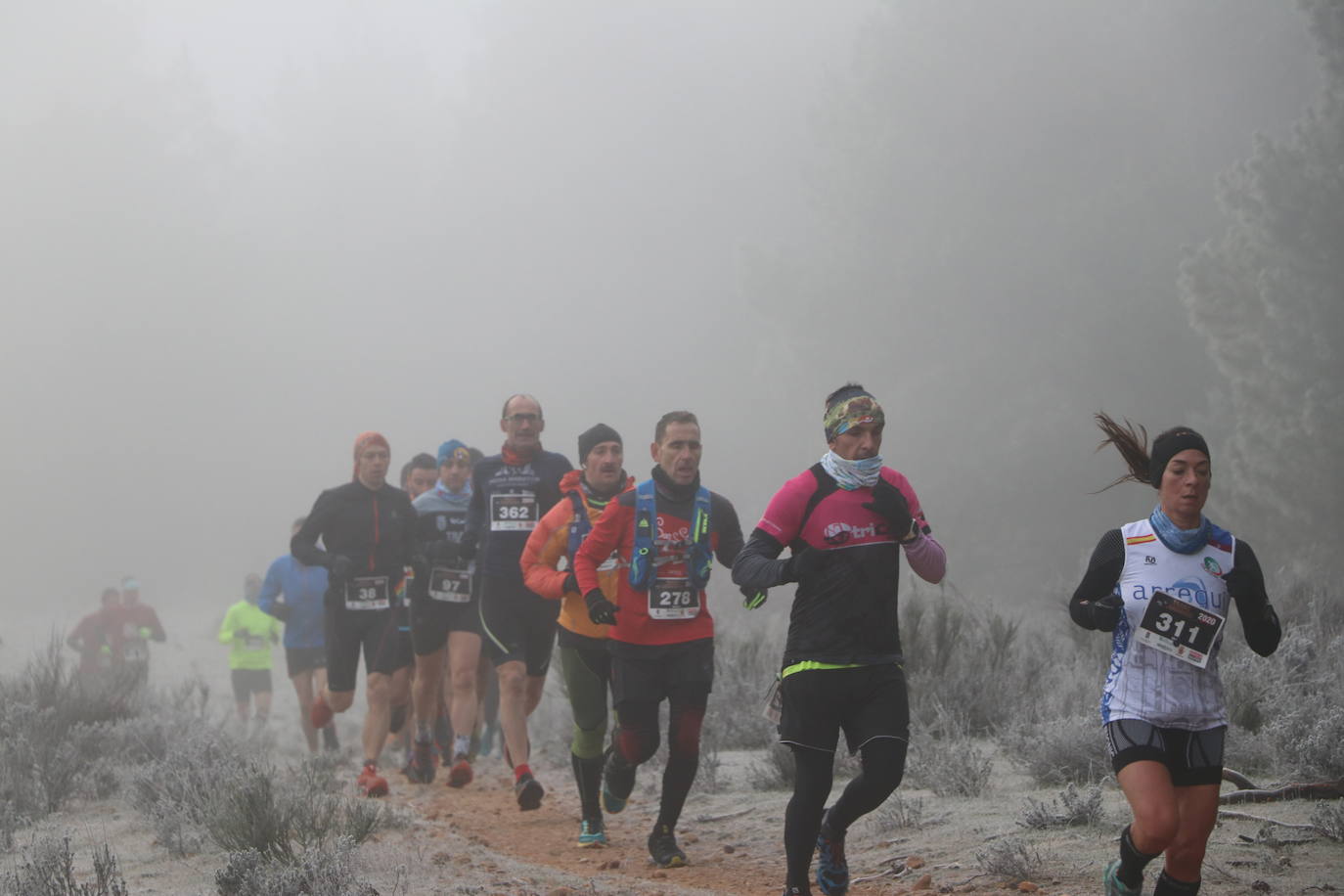 Fotos: Las imágenes de la Transcandamia