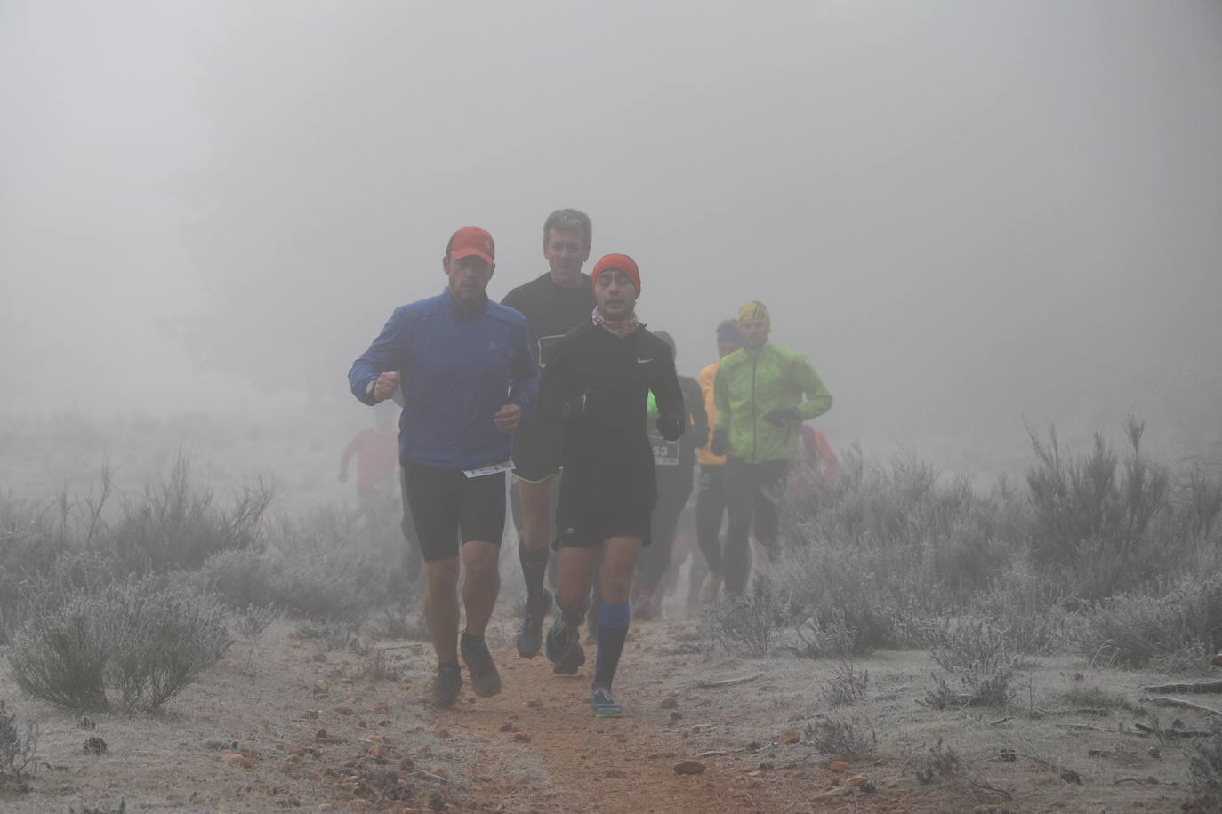 Fotos: Las imágenes de la Transcandamia