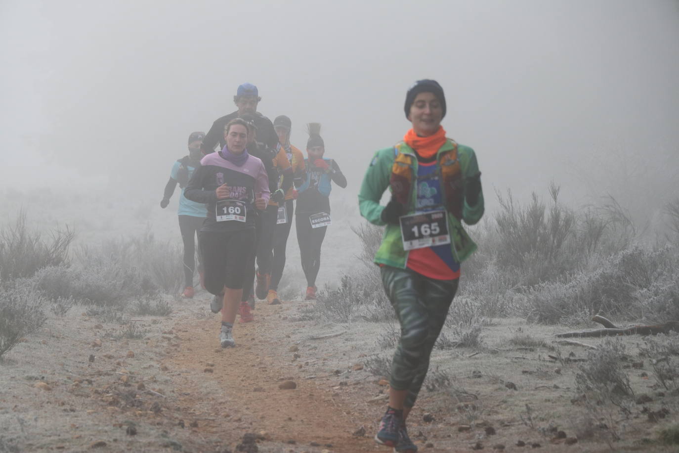 Fotos: Las imágenes de la Transcandamia