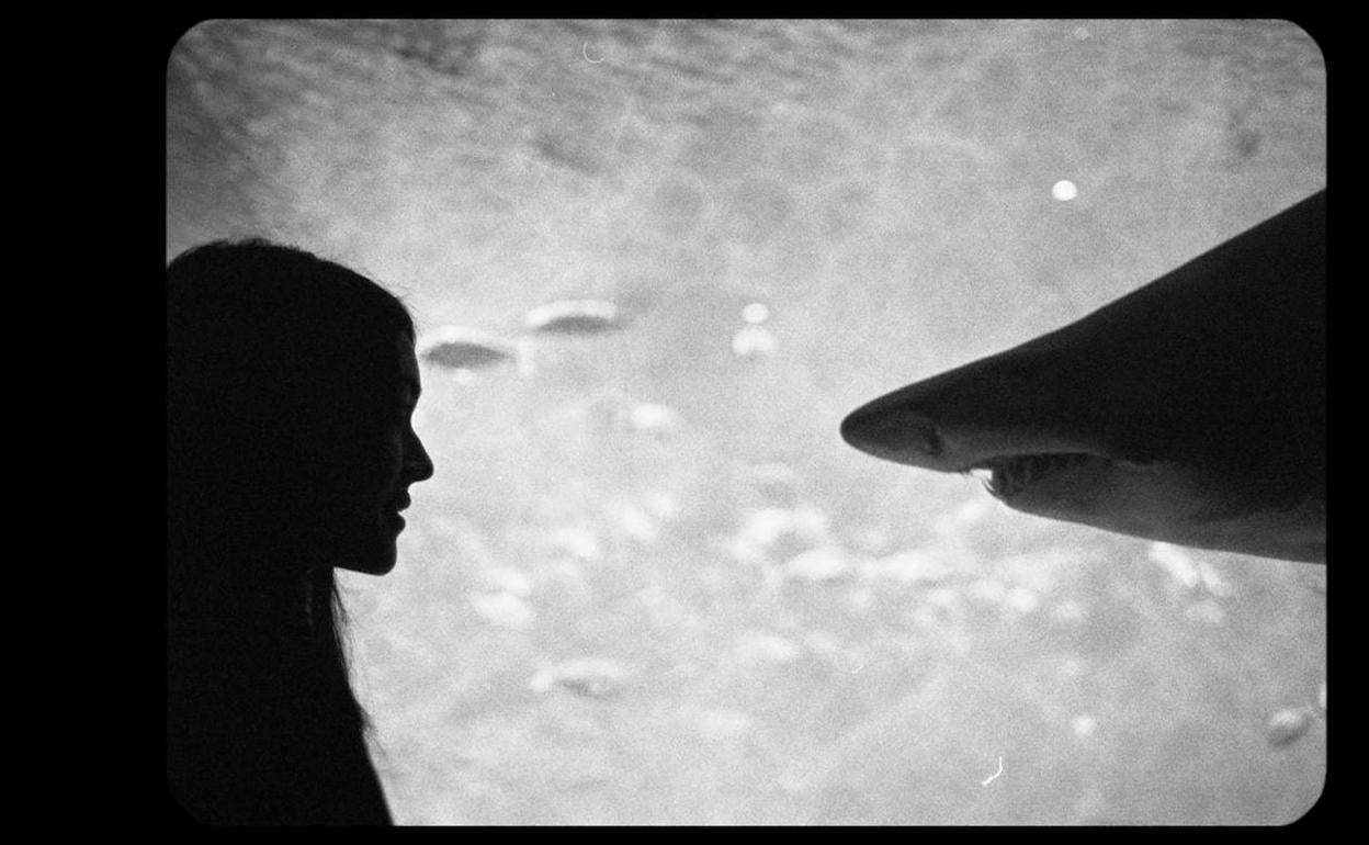 El cineasta Armand Rovira y sus 'Letters to Paul Morrisey' llegan al Musac