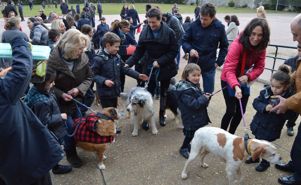 Bendición de las mascotas.