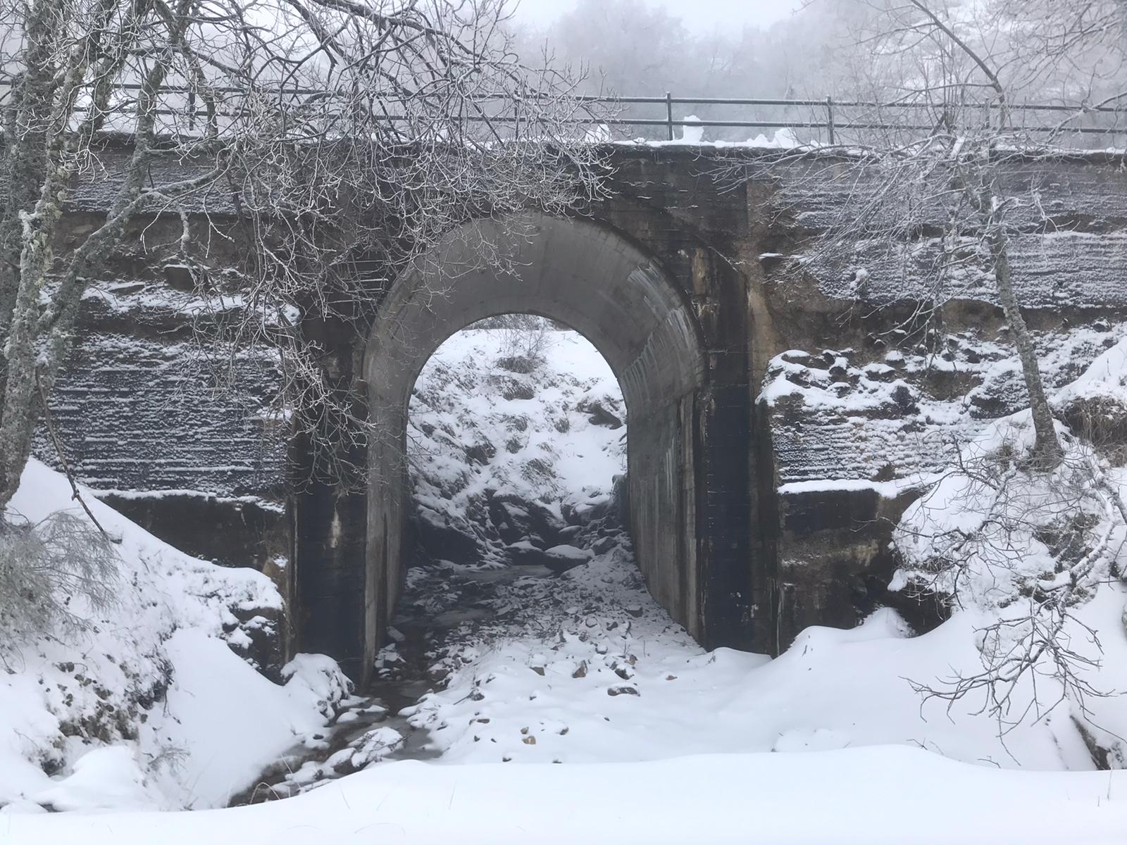 Fotos: Nieve en la provincia de León