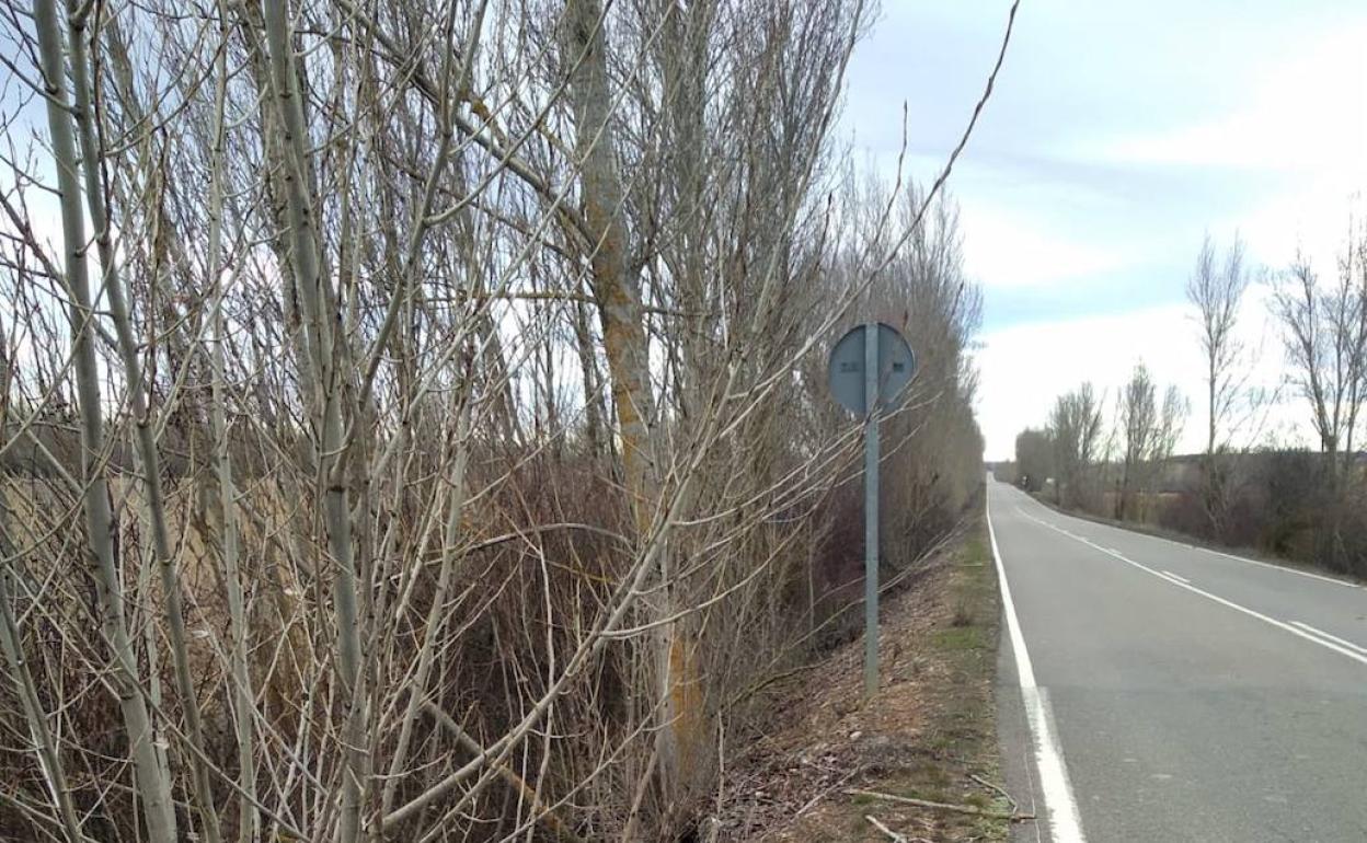 Cs Sahagún pide a la Diputación que elimine la vegetación que invade la carretera LE-6707