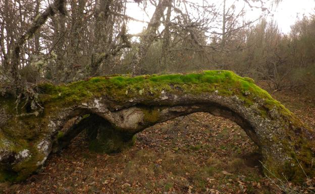 Villablino, la naturaleza se vive en sus rincones