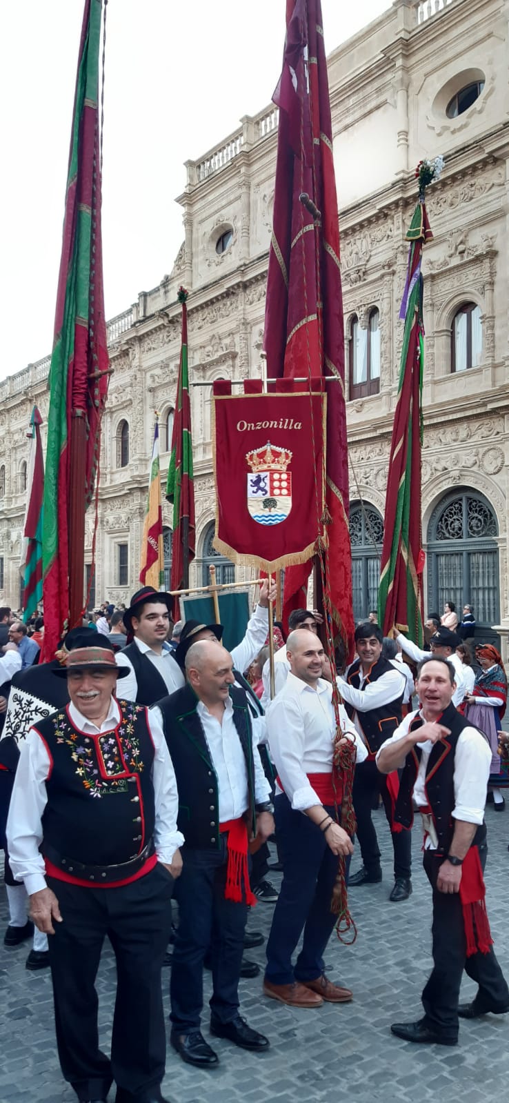 Fotos: La Diputación y los pendones pasean por Sevilla