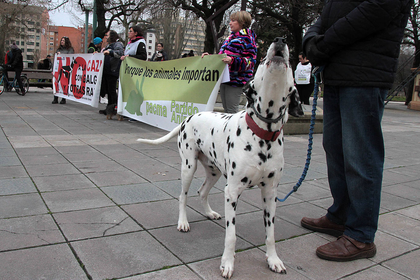 Fotos: Manifestación en contra de la caza con galgos en León