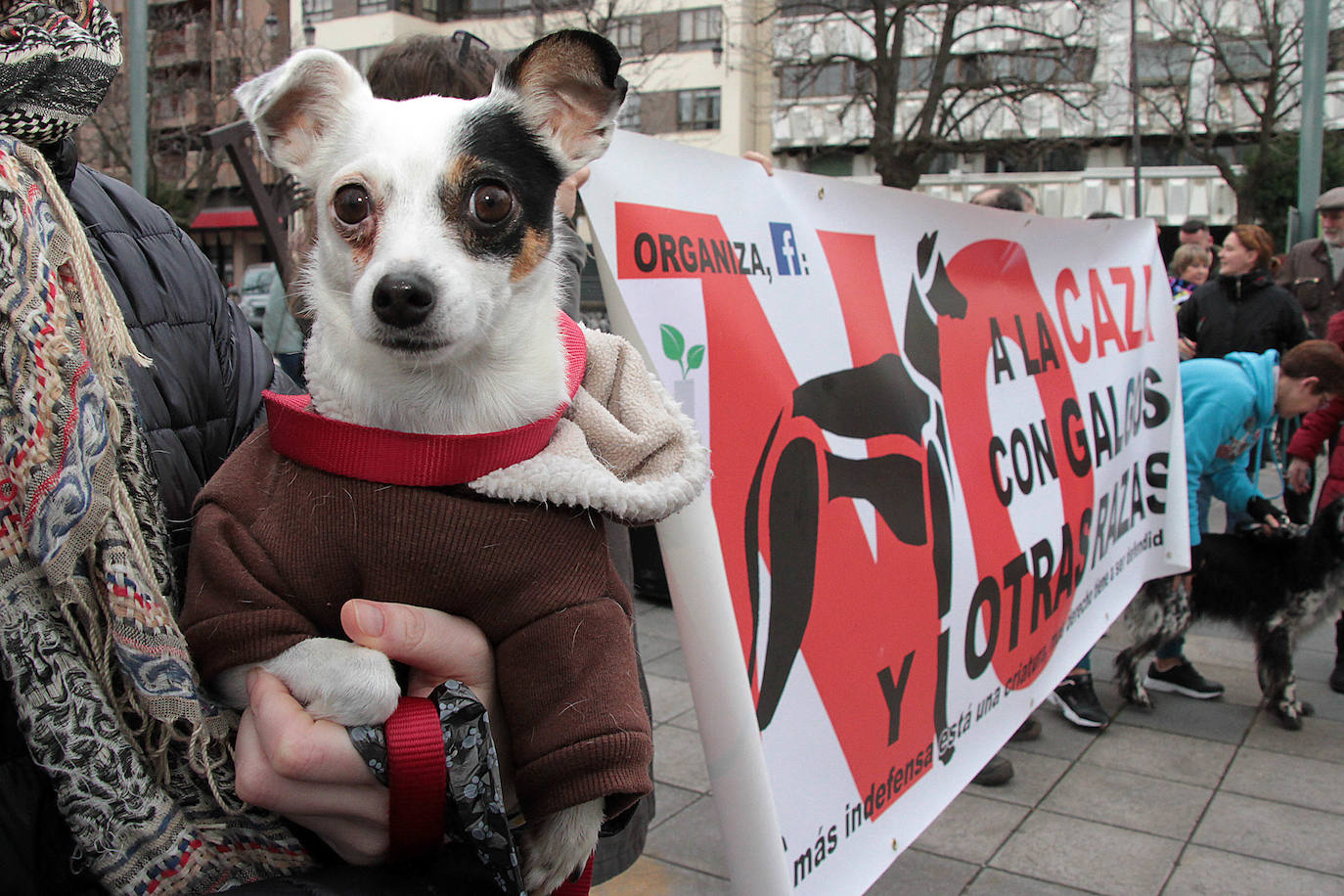 Fotos: Manifestación en contra de la caza con galgos en León