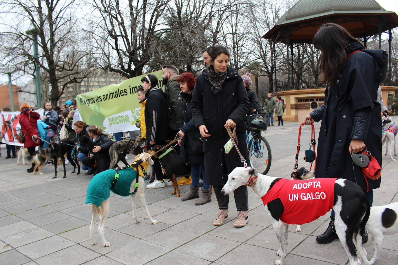 Fotos: Manifestación en contra de la caza con galgos en León