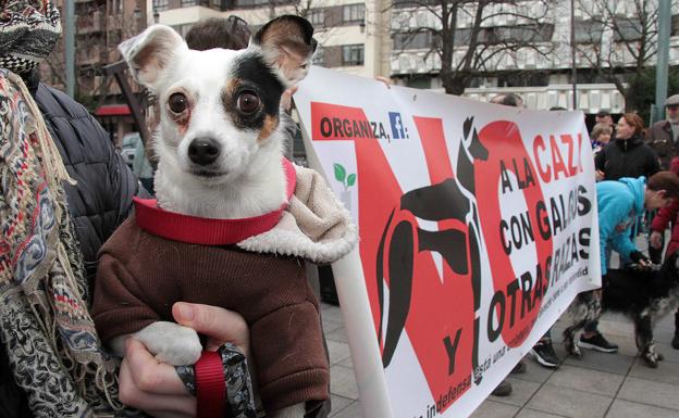 Un perro, momentos antes de la manifestación. 