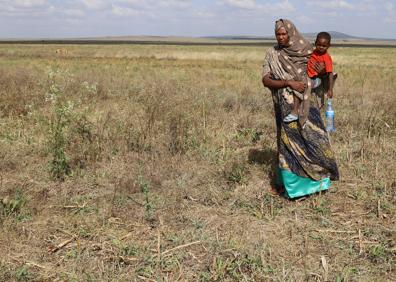 Imagen secundaria 1 - La población de Kenia, Somalia y Etiopía verá más degradada su ya delicada situación por la plaga de langostas.