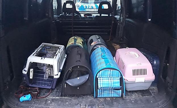 Imagen principal - Varios detalles del rescate. 