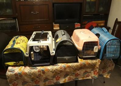 Imagen secundaria 1 - Varios detalles del rescate. 