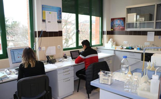 Investigadores trabajando en uno de los laboratorios del Inbiotec. 