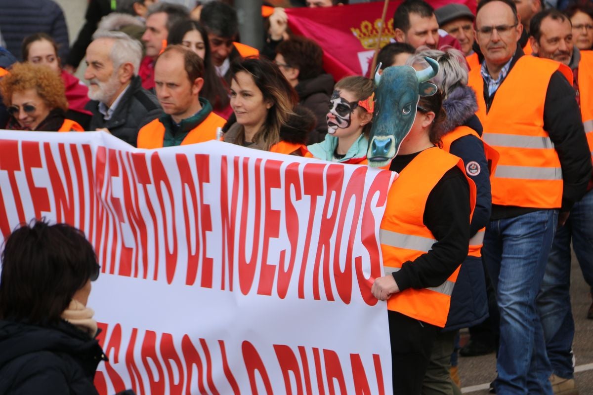 Fotos: La sociedad leonesa se suma a la manifestación del 16F