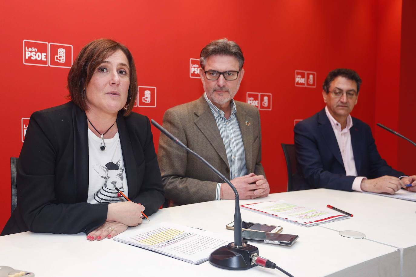 Fotos: Comparecencia del PSOE sobre medio ambiente en León