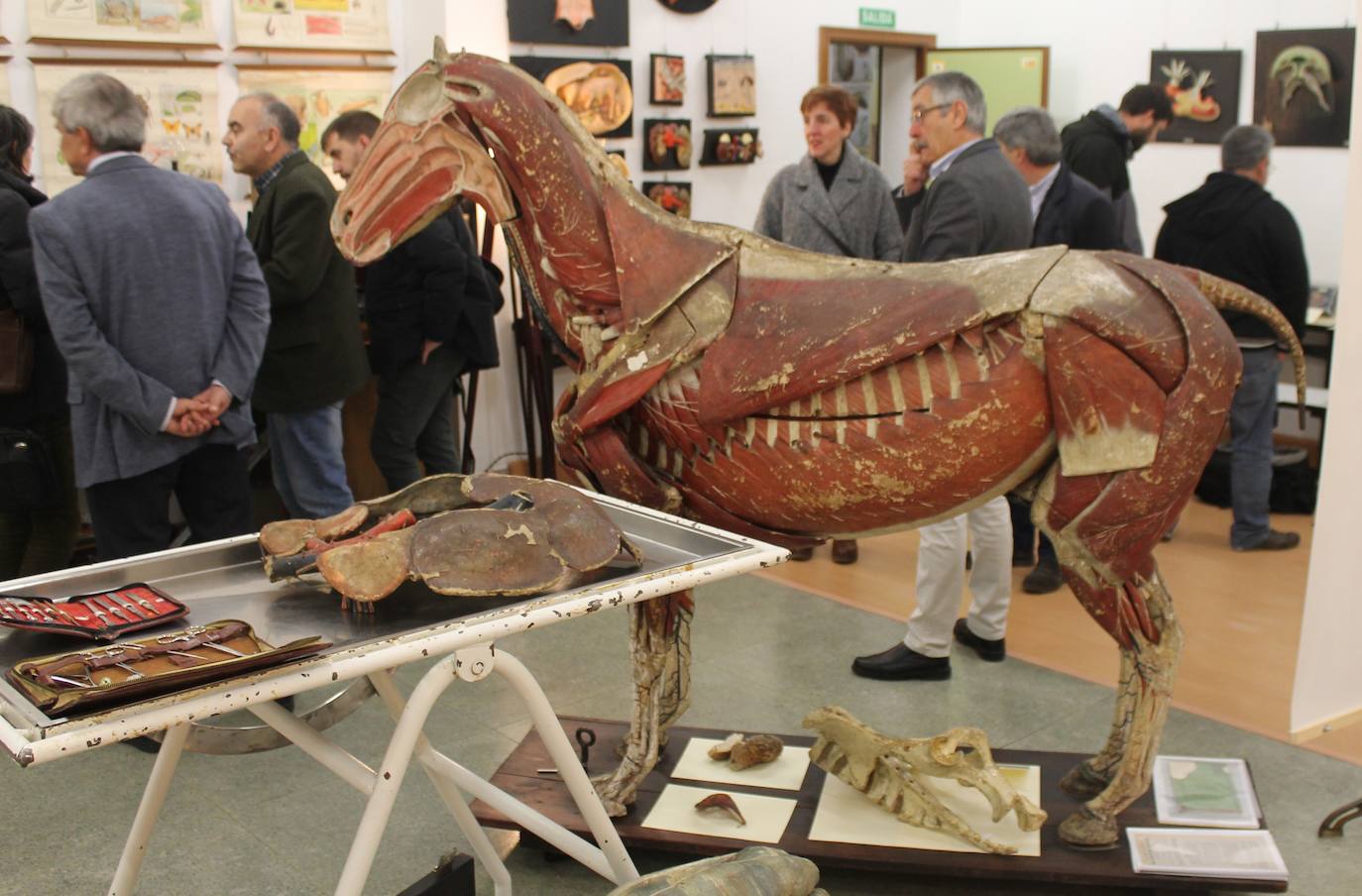 Fotos: Nuevo museo de la Universidad de León en la antigua Escuela de Minas