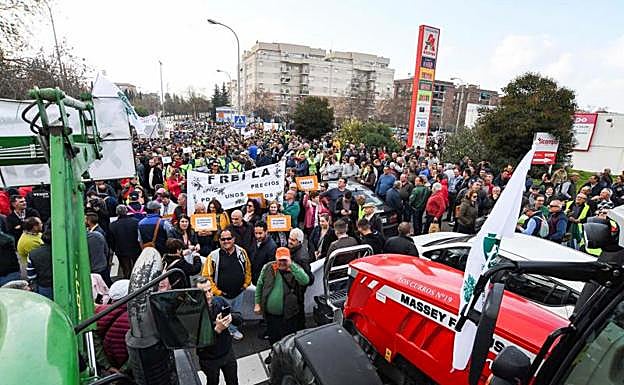 Miles de agricultores y ganaderos se manifiestan en Granada. 