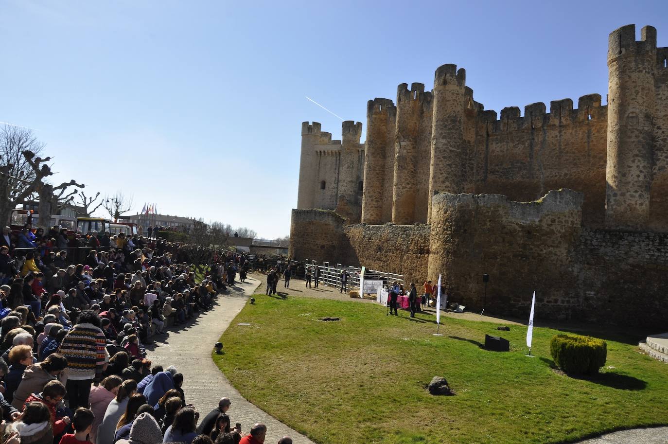 Fotos: El auditorio del castillo se rinde ante la belleza de los burros