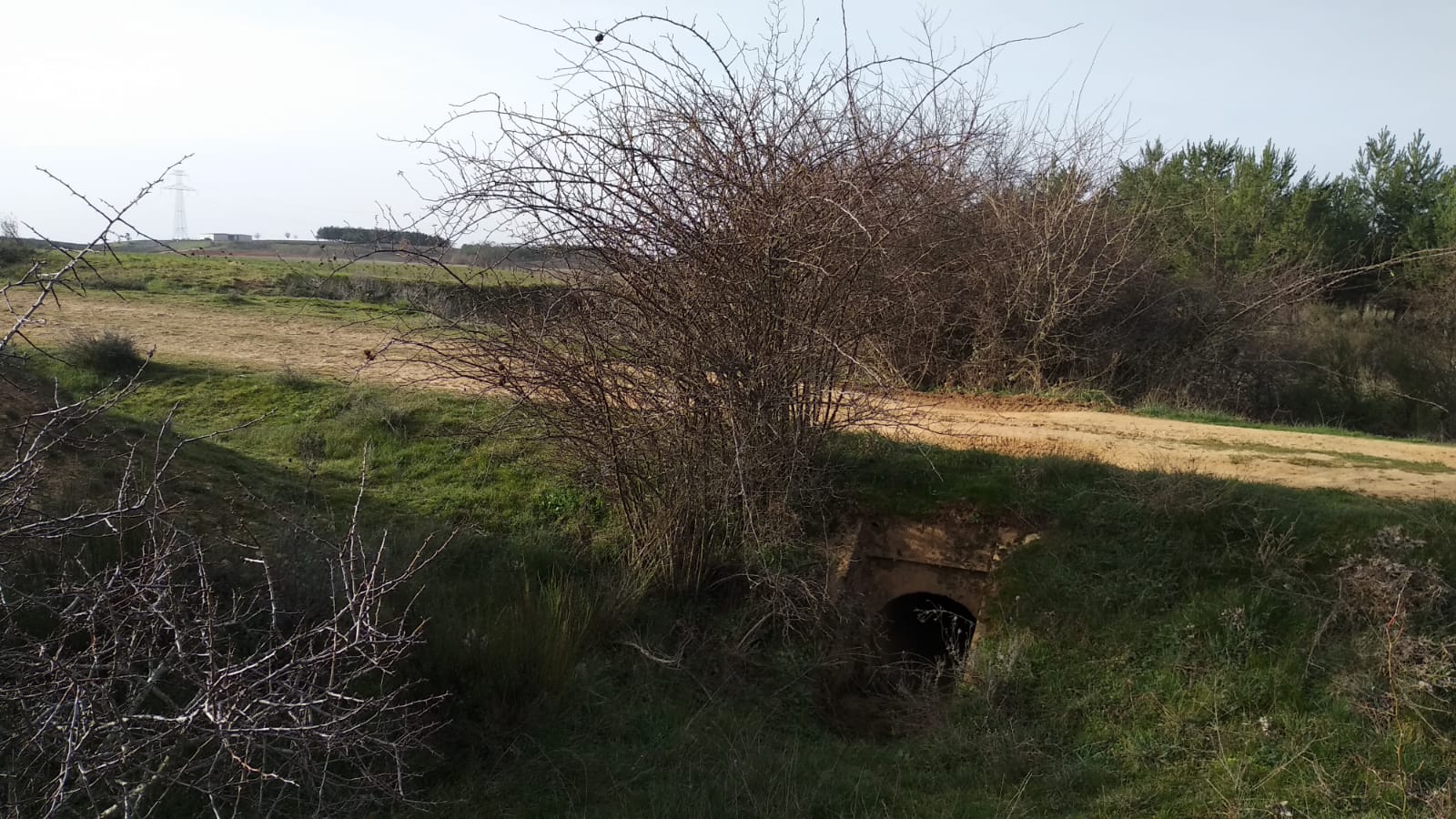 La investigación bajara el ajuste de cuentas como principal móvil en el crimen cometido en Valdefresno. En las imágenes, la zona en la que apareció el cuerpo.