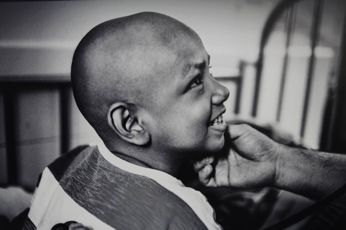 Fotos: Exposición de San Juan de Dios