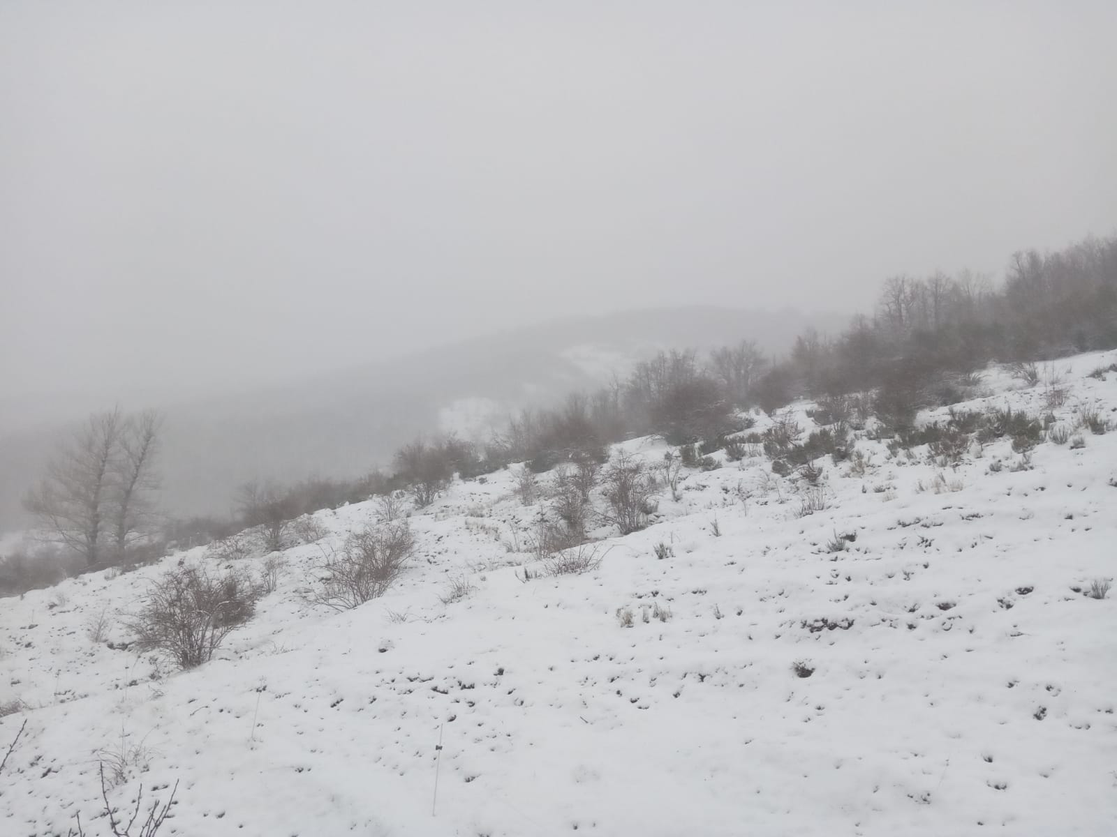 La comarca de Valderrueda afectada por el temporal de nieve.